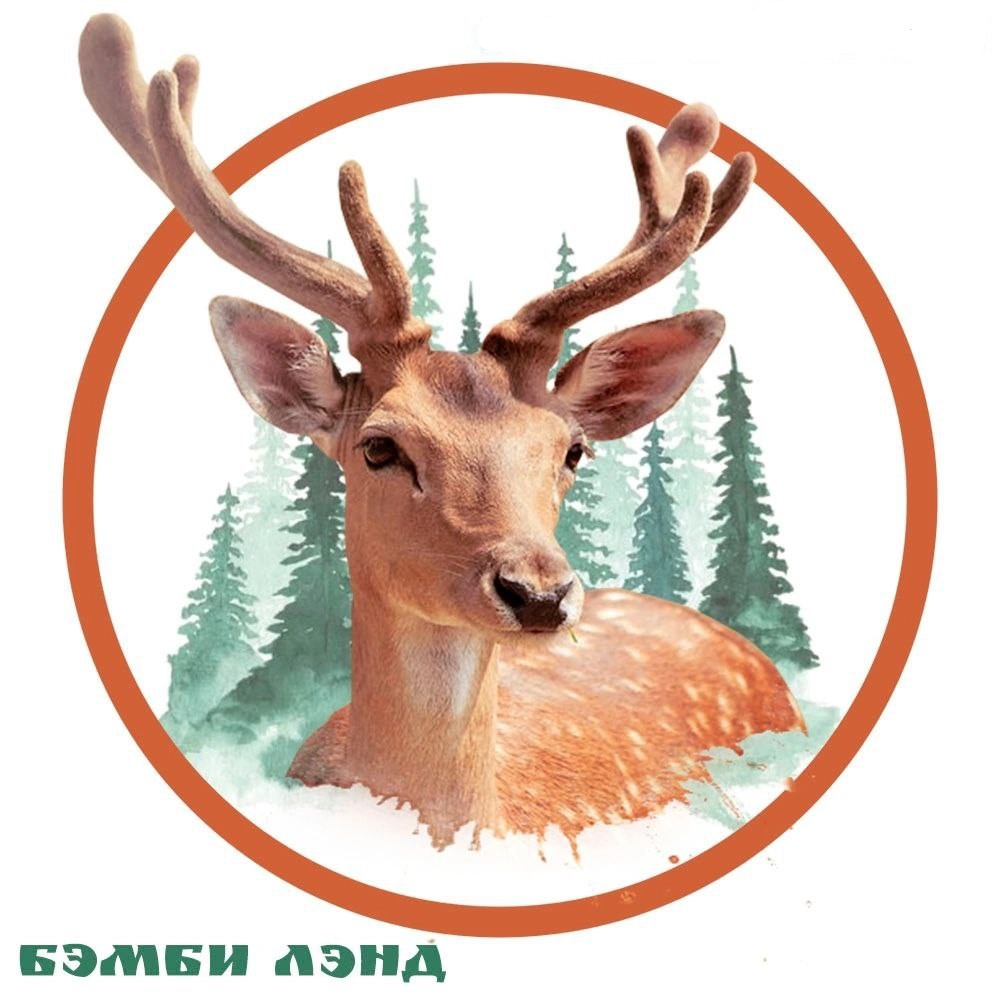 bambiland.partners.fm